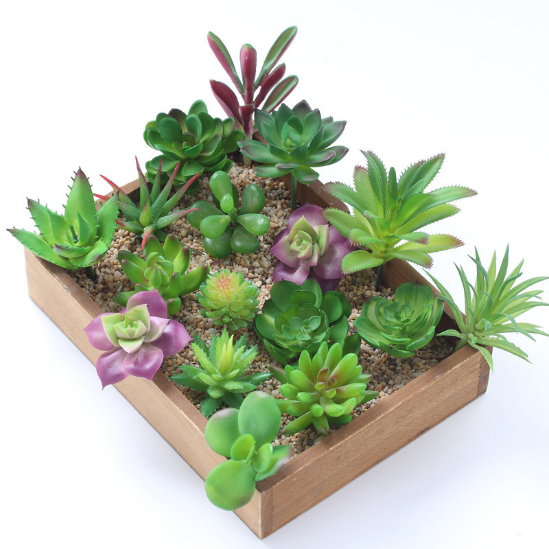 家の装飾のための人工多肉植物,庭の装飾のためのミニ盆栽,寝室 - Bonsai Garden Mini のレビューと価格