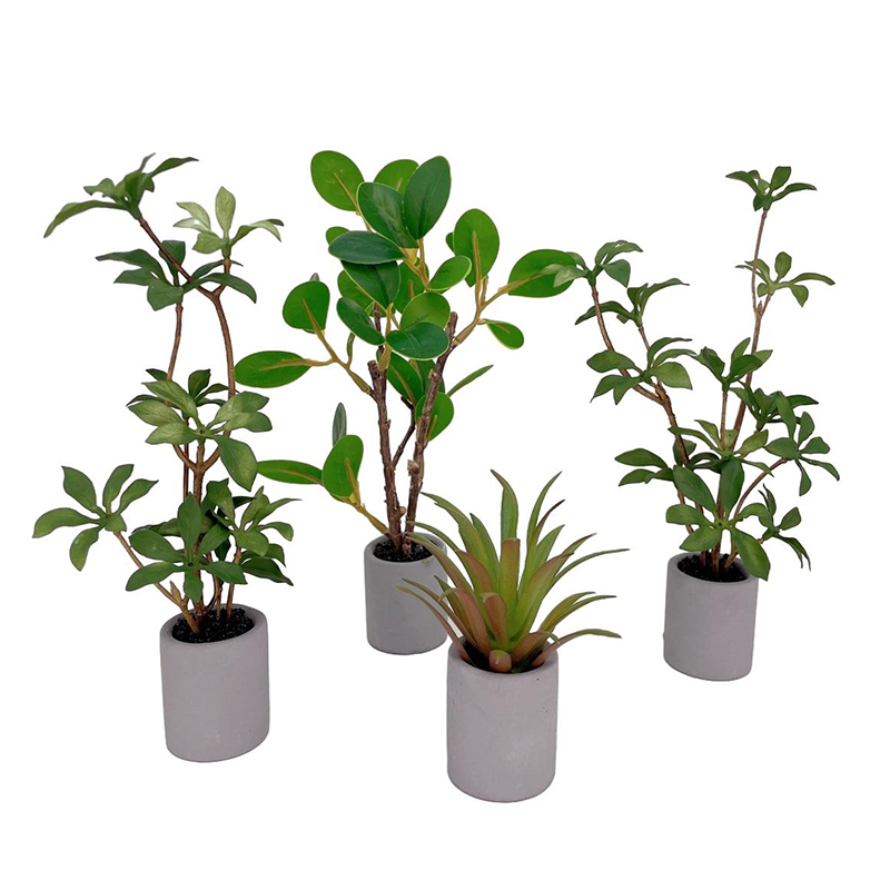 ドールハウスミニチュア鉢植え、緑の葉のポット、盆栽、家の庭の - Bonsai Garden Miniature のレビューと価格