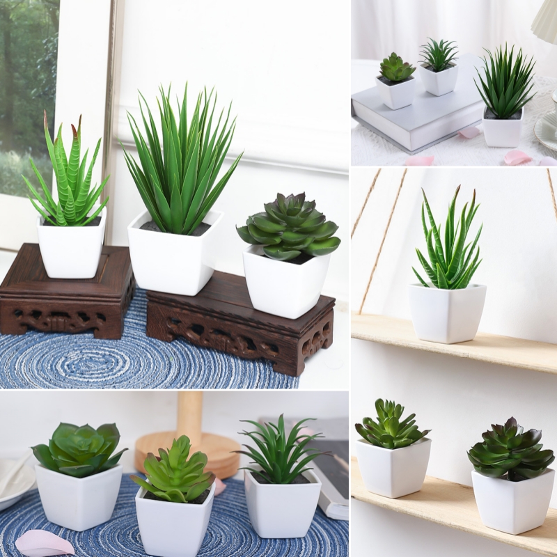 (3 個セット) 家、レストラン、テーブルトップ、窓辺、本棚 - Bonsai Garden Mini のレビューと価格
