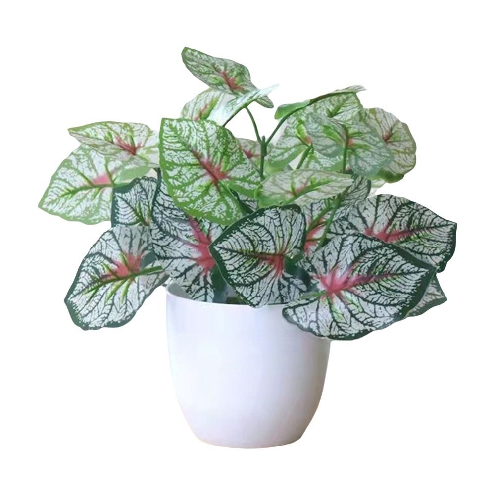 ミニフェイク鉢植え花盆栽テーブルデコレーション鉢植え飾り偽物 - Bonsai Garden Mini のレビューと価格